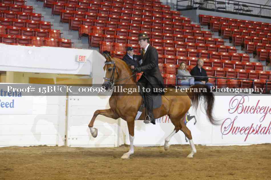 Proof 15BUCK_00698