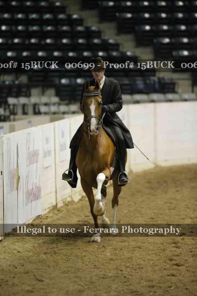 Proof 15BUCK_00699