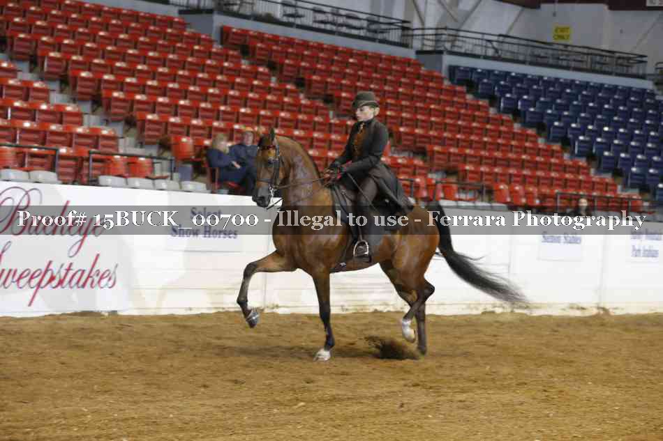 Proof 15BUCK_00700
