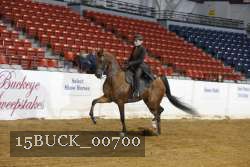 15BUCK_00700 proof