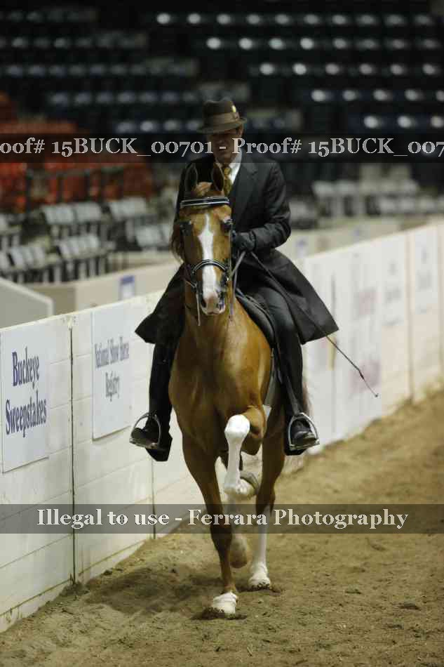 Proof 15BUCK_00701