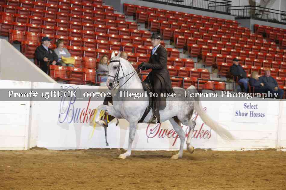 Proof 15BUCK_00702