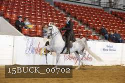 15BUCK_00702 proof