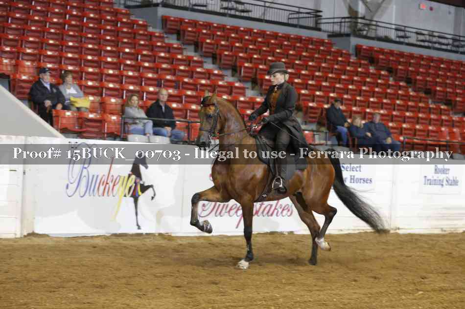 Proof 15BUCK_00703
