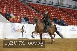 15BUCK_00703 proof
