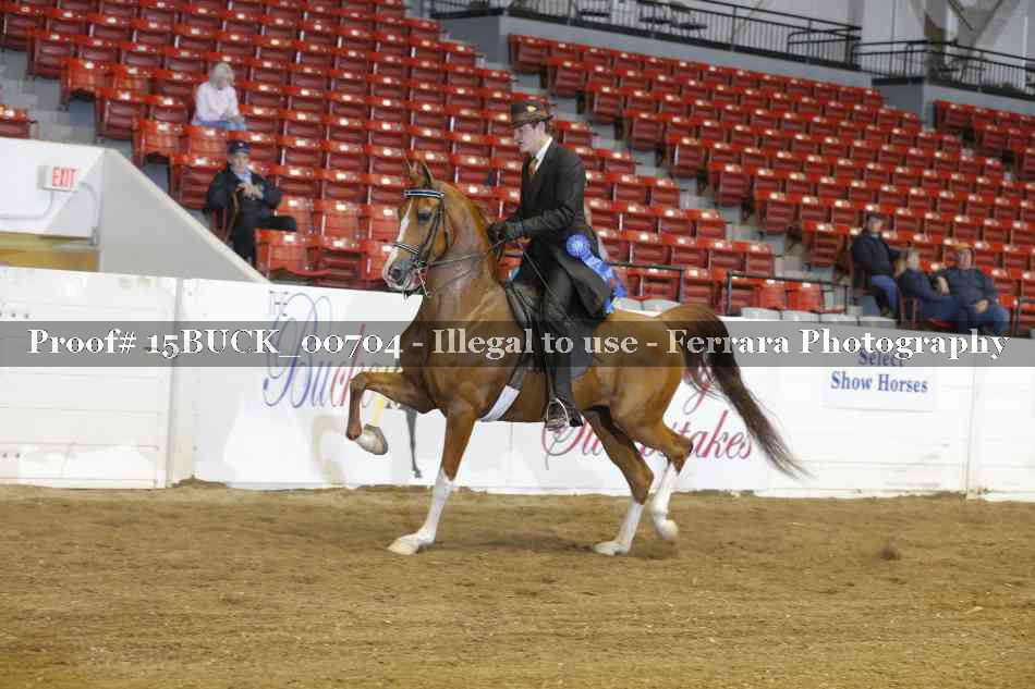 Proof 15BUCK_00704