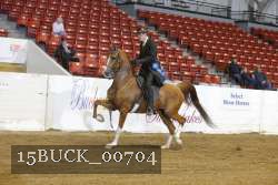 15BUCK_00704 proof