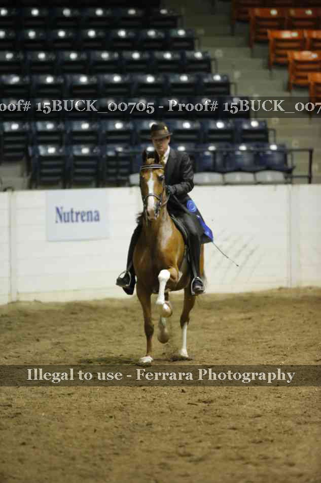 Proof 15BUCK_00705