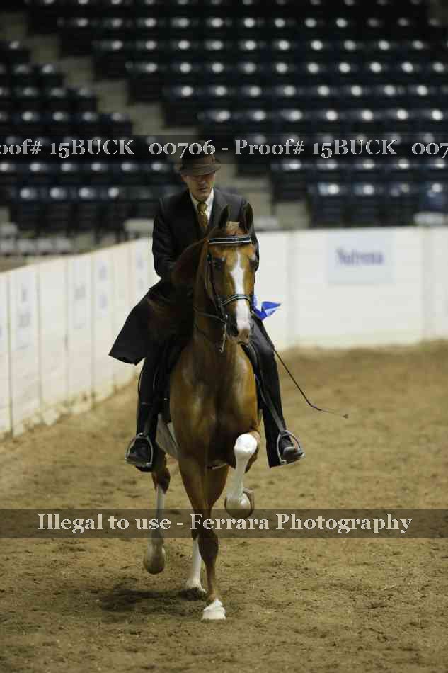 Proof 15BUCK_00706