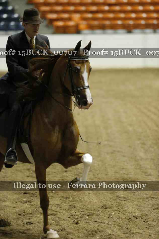 Proof 15BUCK_00707
