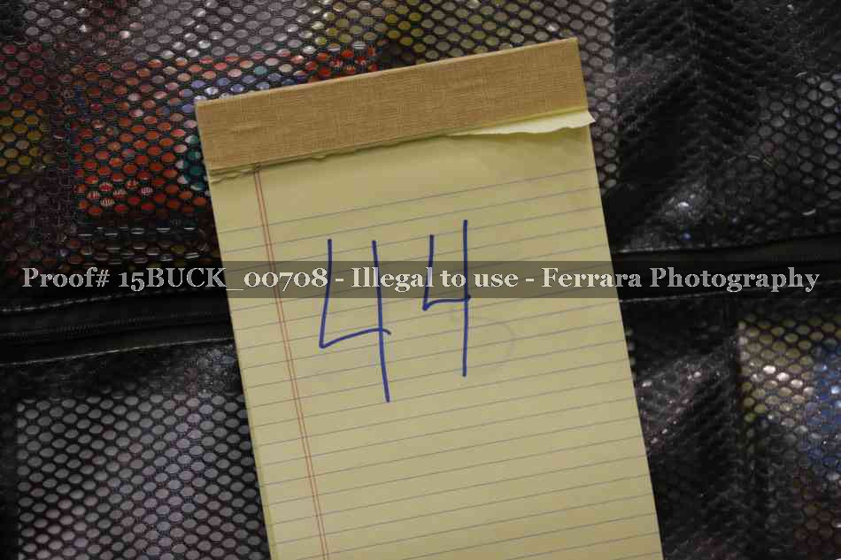 Proof 15BUCK_00708
