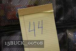 15BUCK_00708 proof