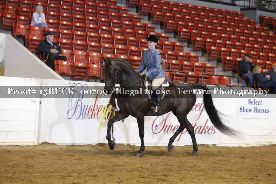 Proof 15BUCK_00709