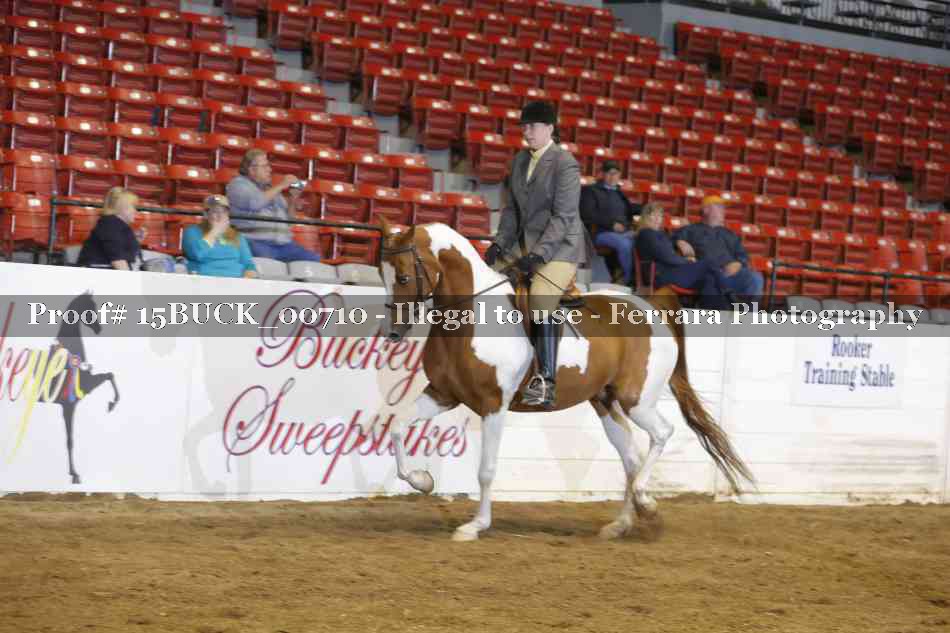 Proof 15BUCK_00710