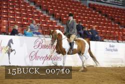 15BUCK_00710 proof