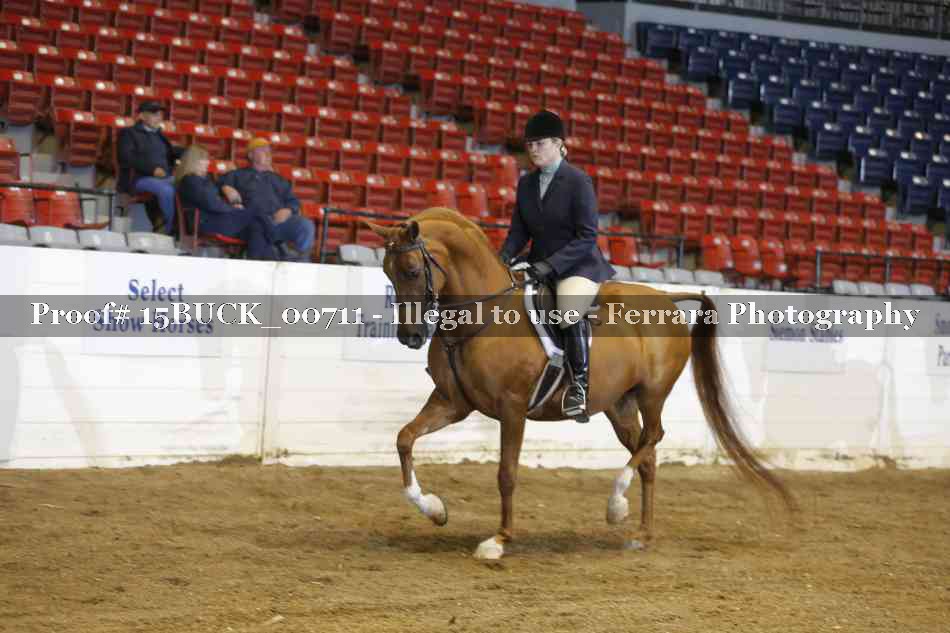 Proof 15BUCK_00711