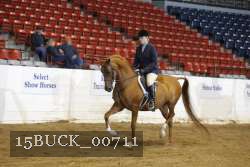15BUCK_00711 proof