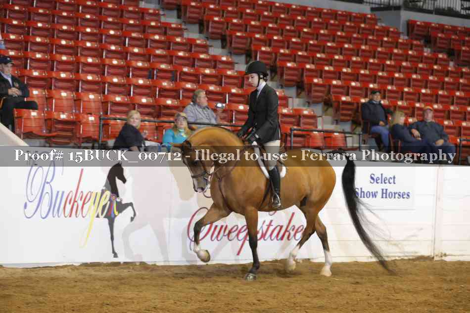 Proof 15BUCK_00712