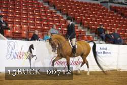 15BUCK_00712 proof