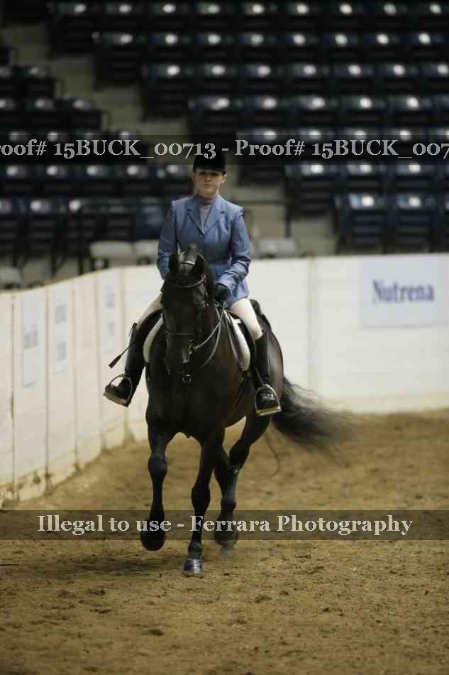 Proof 15BUCK_00713