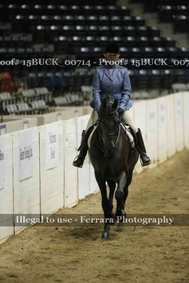 Proof 15BUCK_00714