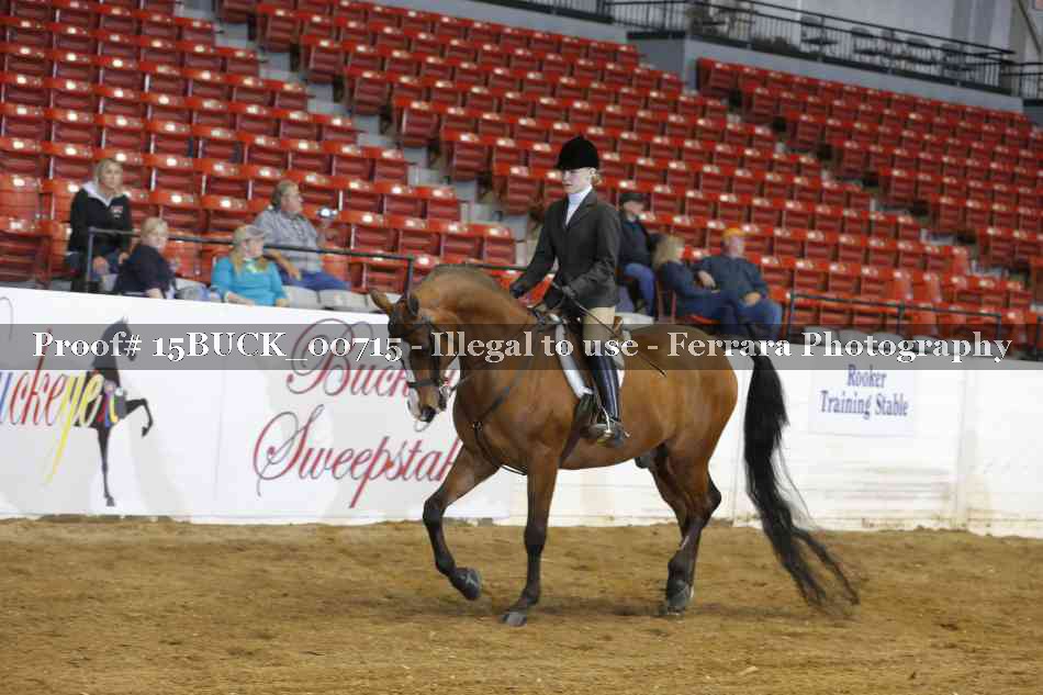 Proof 15BUCK_00715