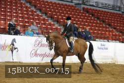 15BUCK_00715 proof