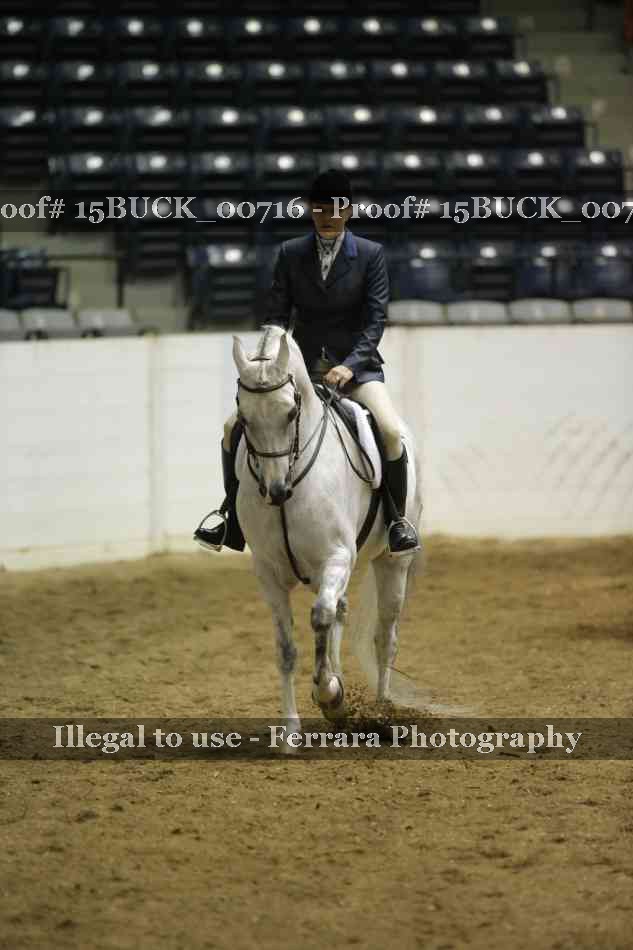 Proof 15BUCK_00716