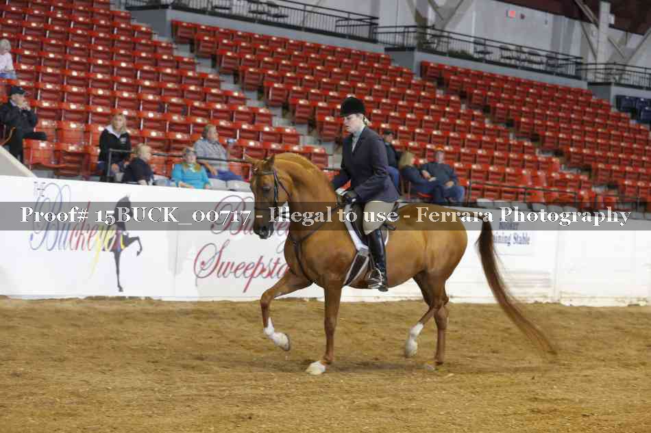 Proof 15BUCK_00717