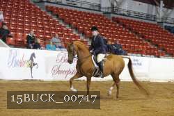 15BUCK_00717 proof