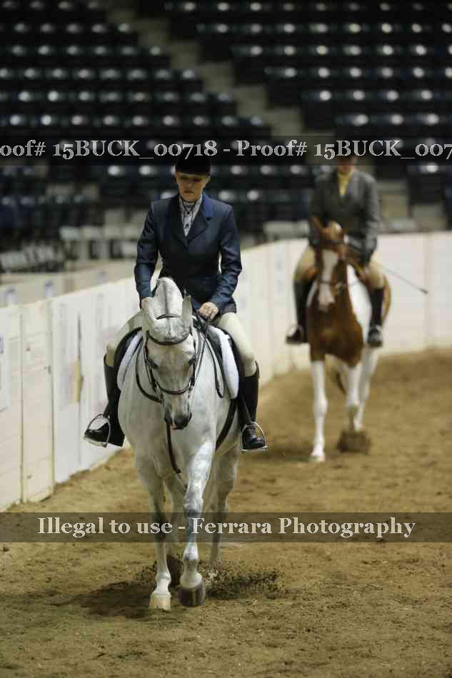 Proof 15BUCK_00718