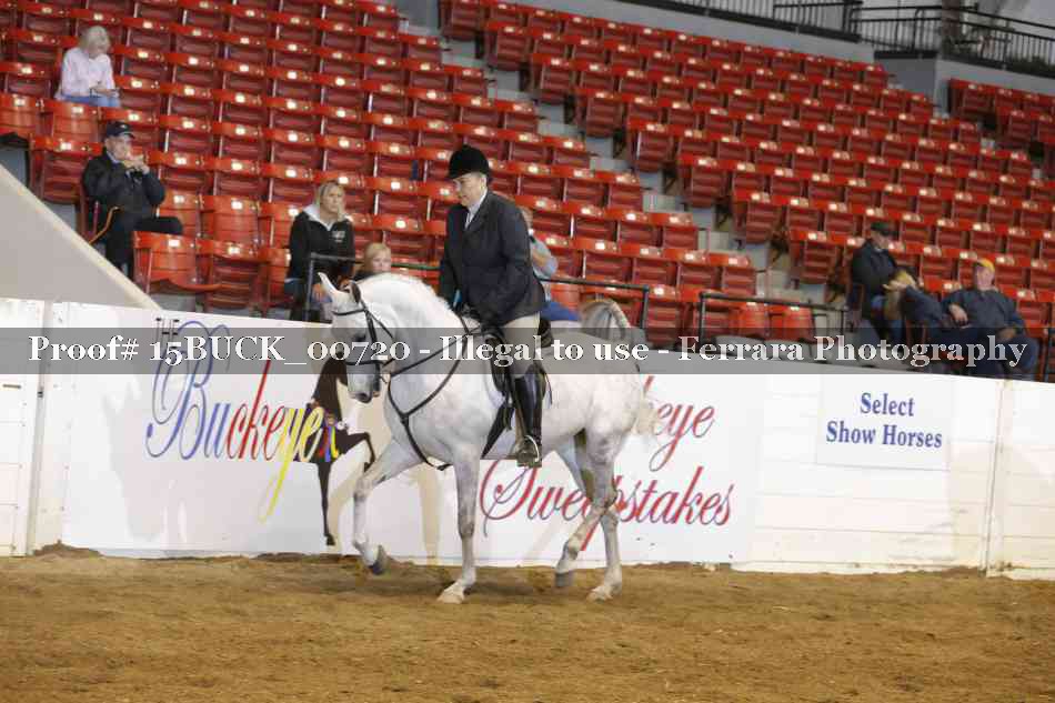 Proof 15BUCK_00720
