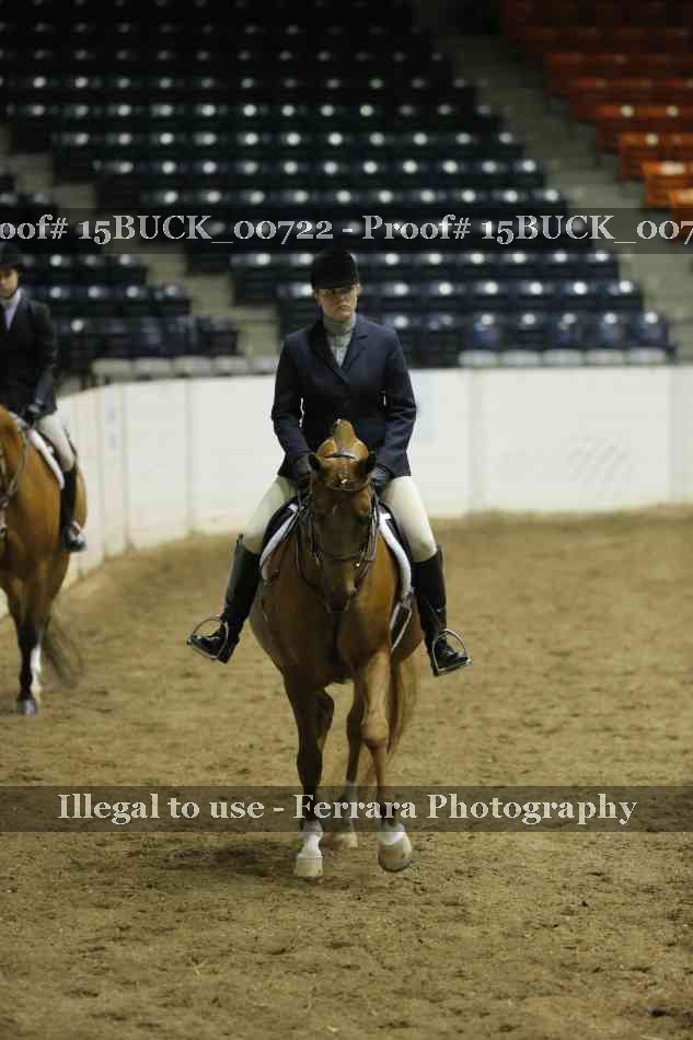 Proof 15BUCK_00722