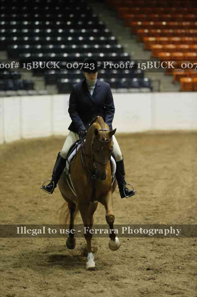 Proof 15BUCK_00723