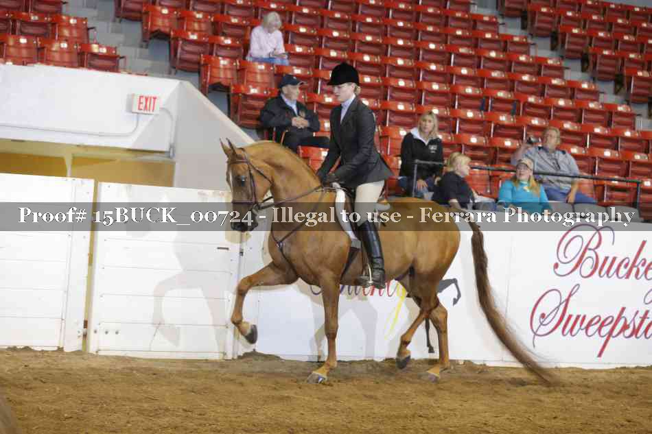 Proof 15BUCK_00724