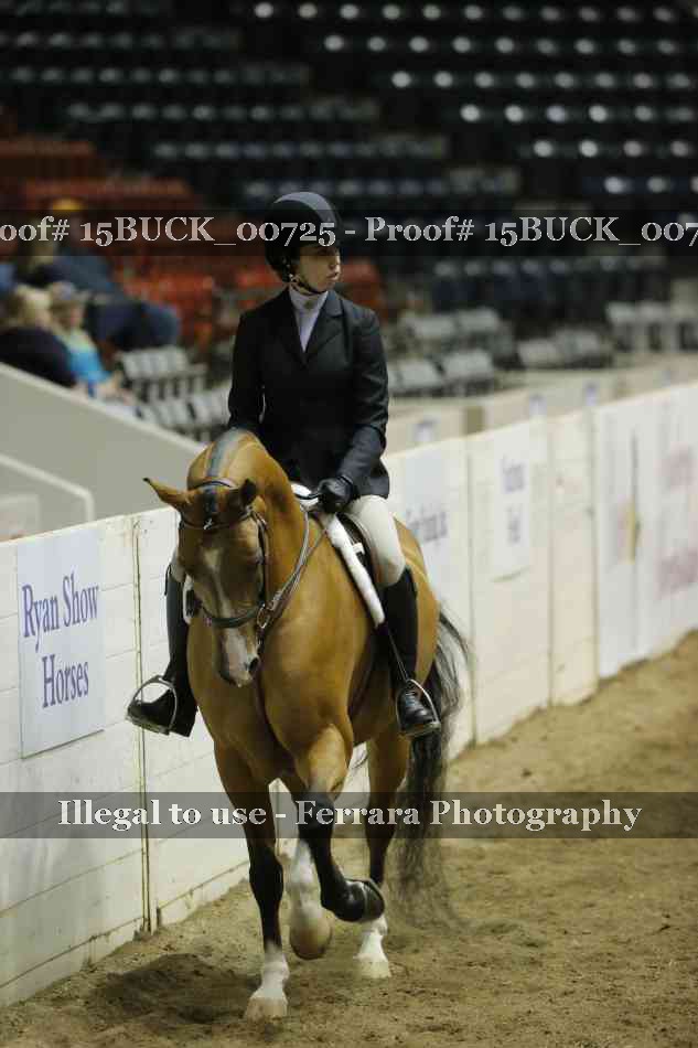 Proof 15BUCK_00725