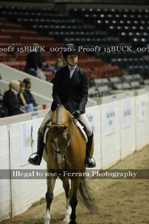 Proof 15BUCK_00726