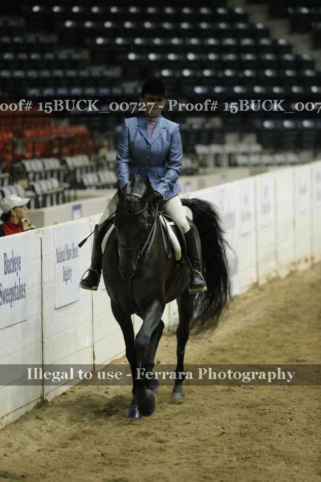Proof 15BUCK_00727