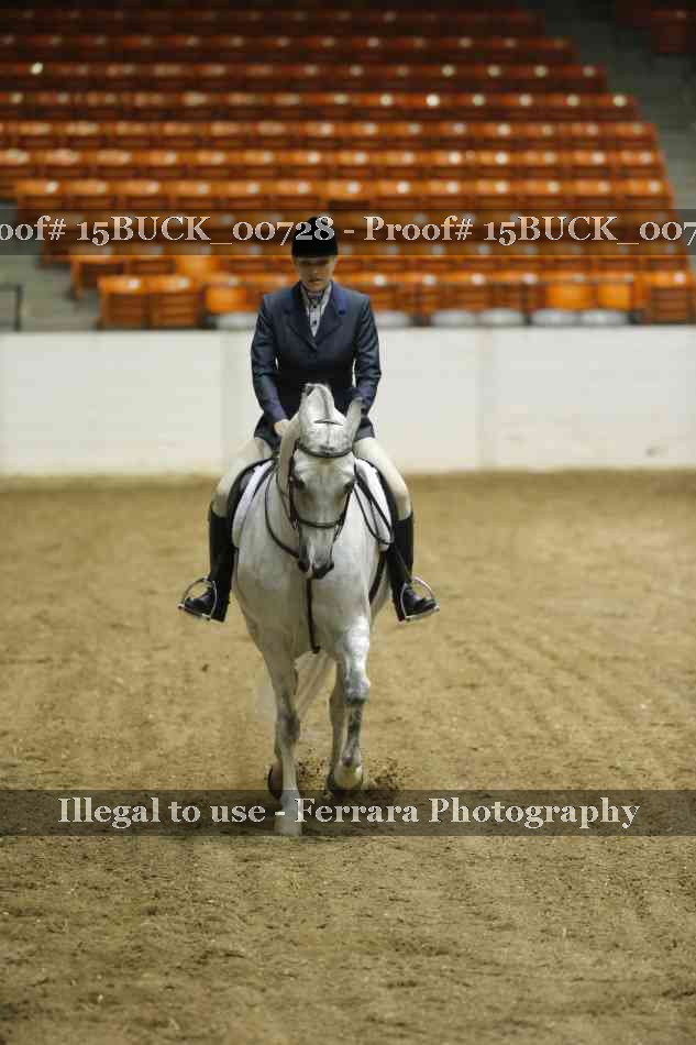 Proof 15BUCK_00728