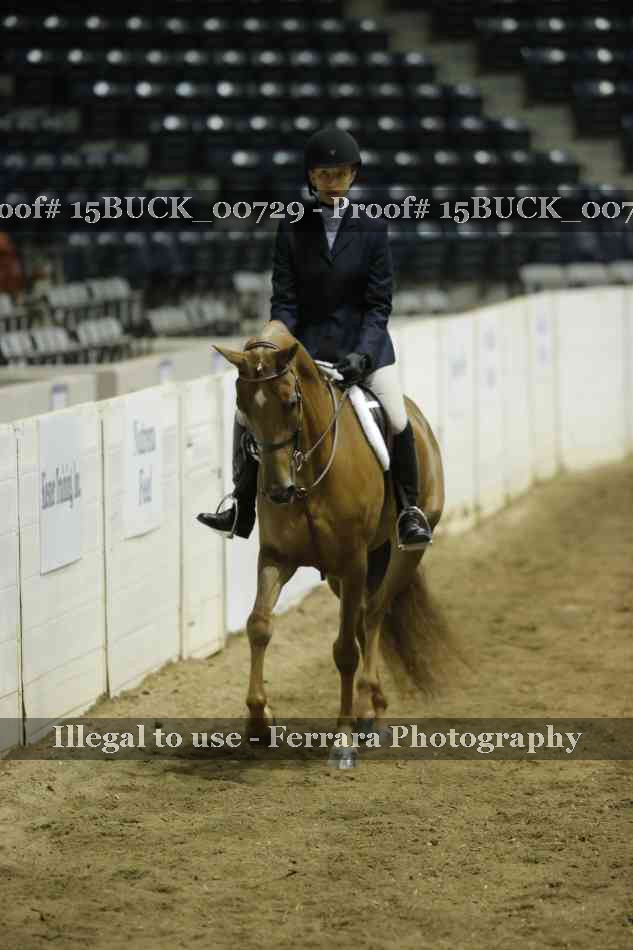 Proof 15BUCK_00729