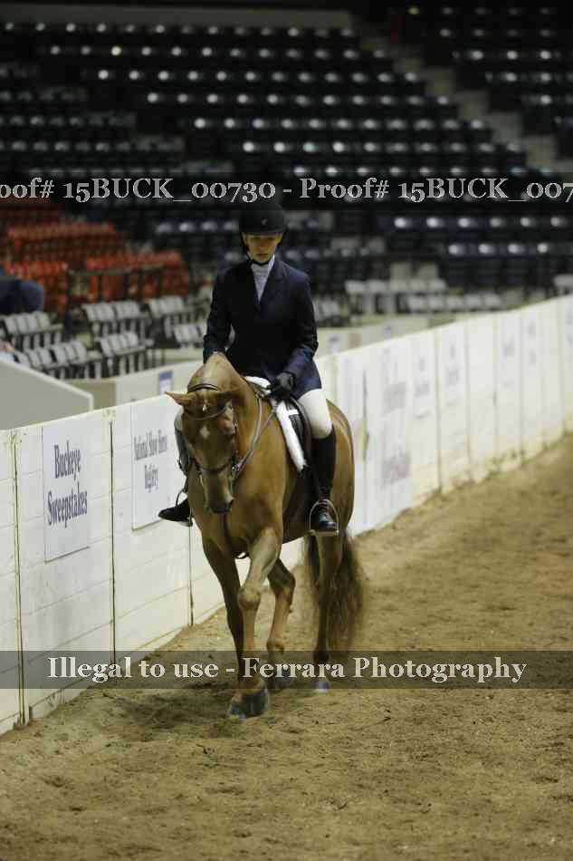 Proof 15BUCK_00730