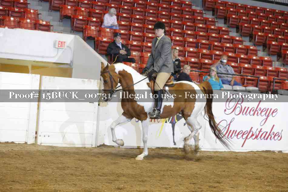 Proof 15BUCK_00731