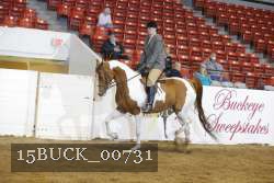 15BUCK_00731 proof