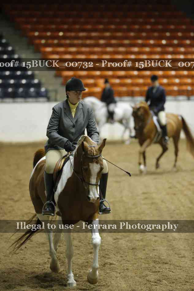 Proof 15BUCK_00732