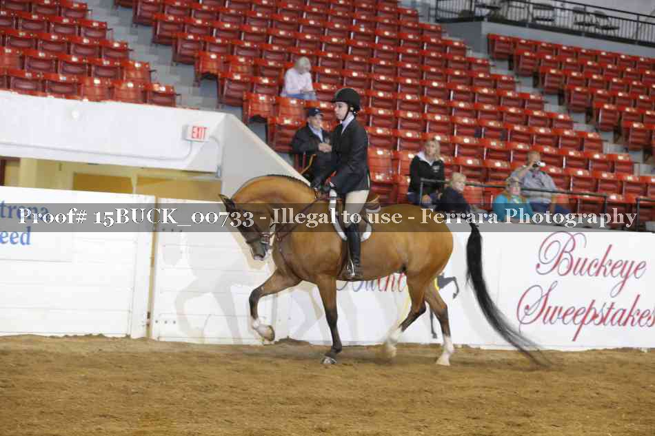 Proof 15BUCK_00733