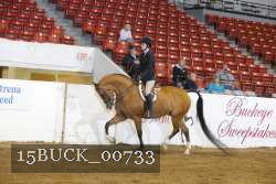 15BUCK_00733 proof