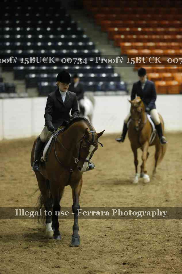 Proof 15BUCK_00734