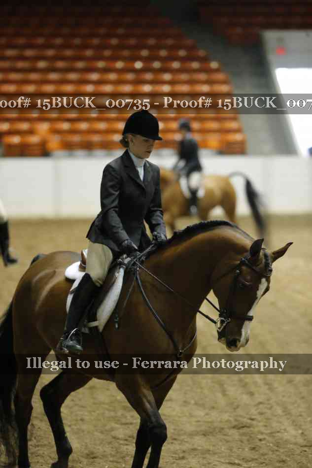 Proof 15BUCK_00735