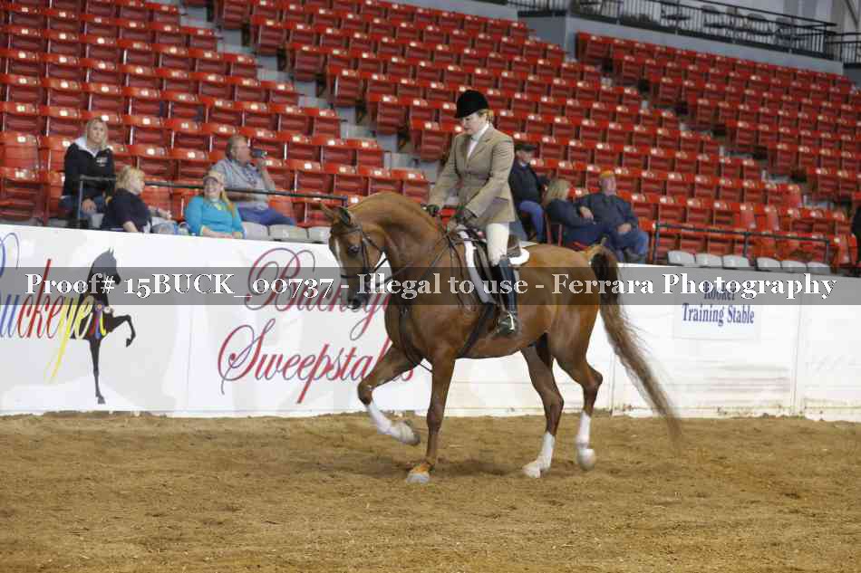 Proof 15BUCK_00737