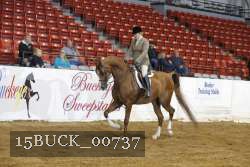 15BUCK_00737 proof